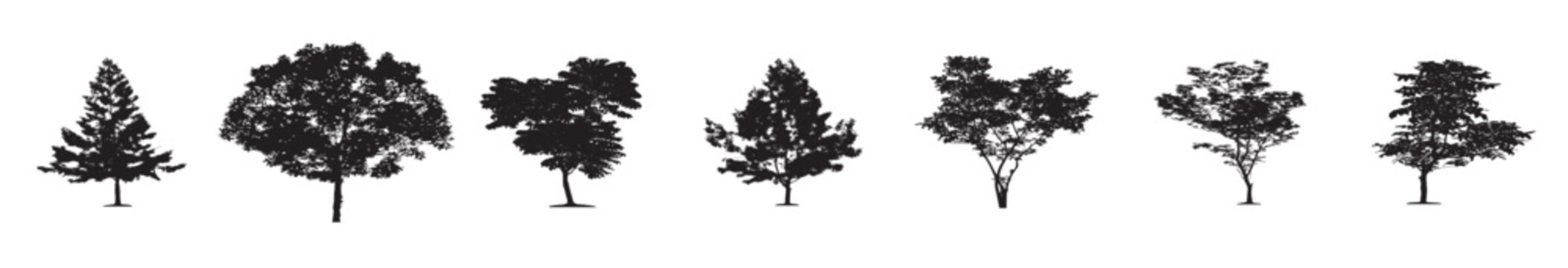 silhouette tree line drawing set, set of graphics trees elements outline symbol for architecture and landscape design drawing in stroke fill in white. Tropical, vector illustration