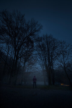 Mistery night
