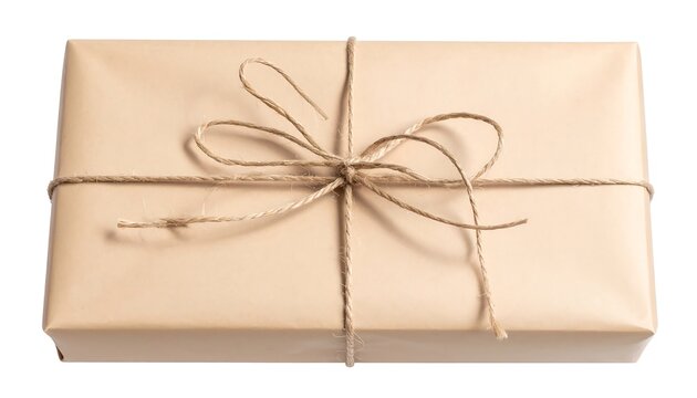 Brown paper package tied up with string, centered against white