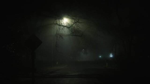 Sideways camera move around street lamp in fog creating mysterious light rays through tree branches and cinematic atmosphere of night street with soft diffused light