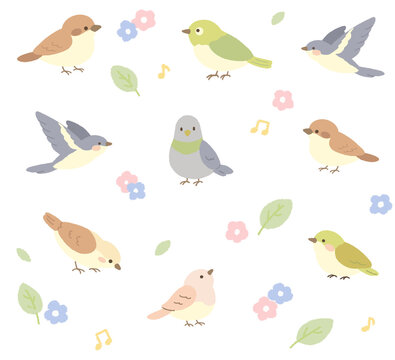 花びらが舞う小鳥のイラストセット