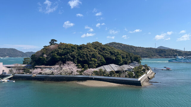 三重県鳥羽市のミキモト真珠島に咲く美しい桜と伊勢志摩の青い海、歴史的な白壁の建築物と満開のさくらが織りなす春の風景、観光フェリーが行き交う穏やかな鳥羽湾の背景素材、日本の春を象徴する絶景