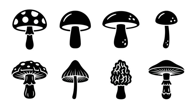 Diverse mushroom silhouettes collection featuring unique cap and stem shapes for botanical study, design inspiration, and natural illustration projects