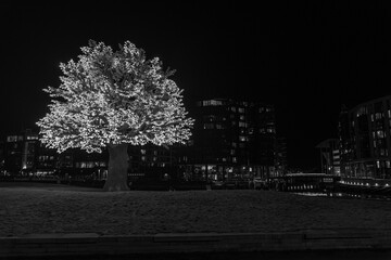 Oslo in der Nacht © Stephan Sühling