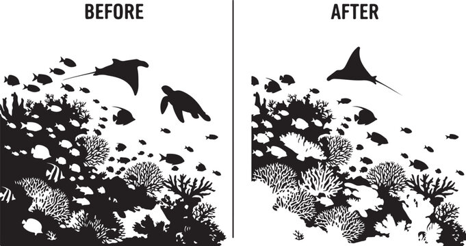 Coral Reef Ecosystem Transformation Before and After Conservation Efforts
