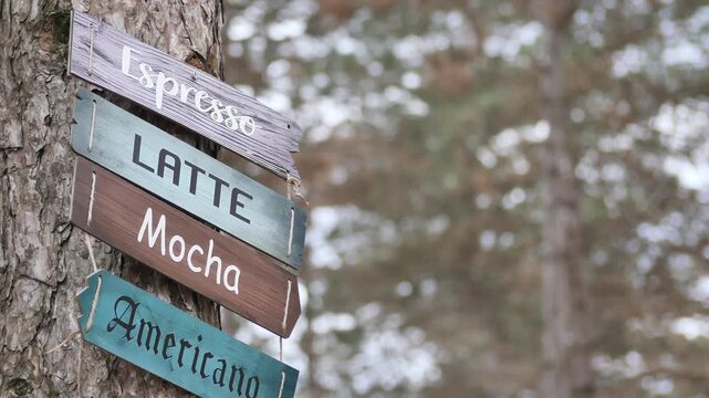 Rustic coffee menu wooden signs attached to pine tree trunk in beautiful forest background.