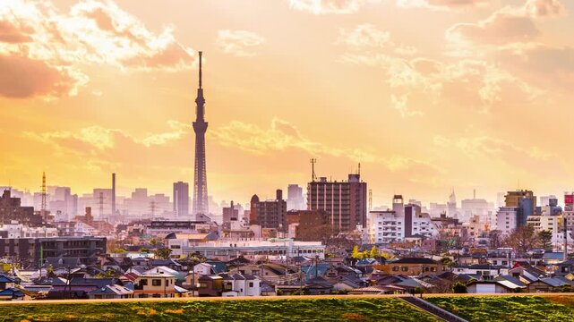 Tokyo, Japan skyline with Skytree Tower 5108