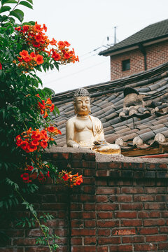 little buddah in korea
