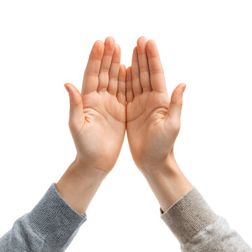 Professional's Guide to Using Isolated Two Hands Performing High Five on White Background Image
