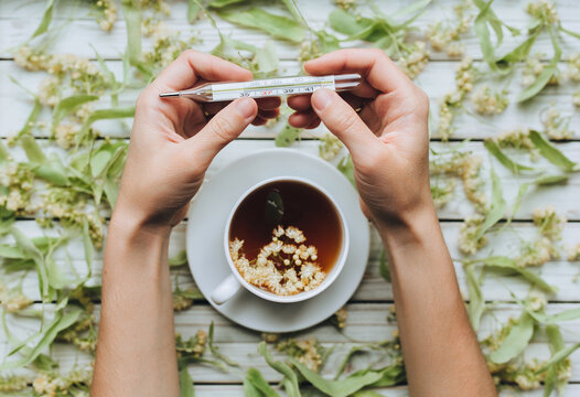 Increased temperature. Woman hands with mercury thermometer on linden flowers background. Flu, acute respiratory diseases. Tea from dried linden flowers as an alternative method of treating colds.