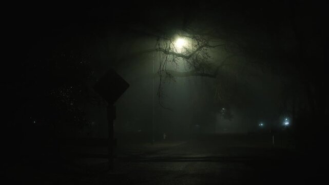 Street lamp in dense fog behind intertwined tree branches creating mysterious cinematic atmosphere of night street with strong light rays and deep shadows