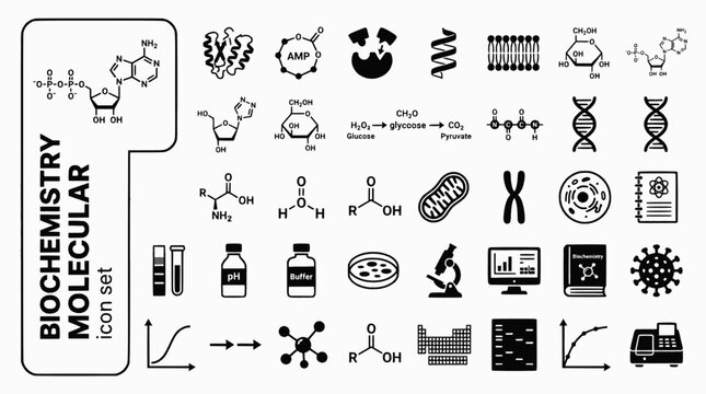 Biochemistry Molecular Biology Bold Line Icons-ATP Enzyme Metabolic Pathway Protein Folding Lipid Bilayer Citric Acid Glycolysis-25 Biochemistry Icon Set Vector - Molecular Icons