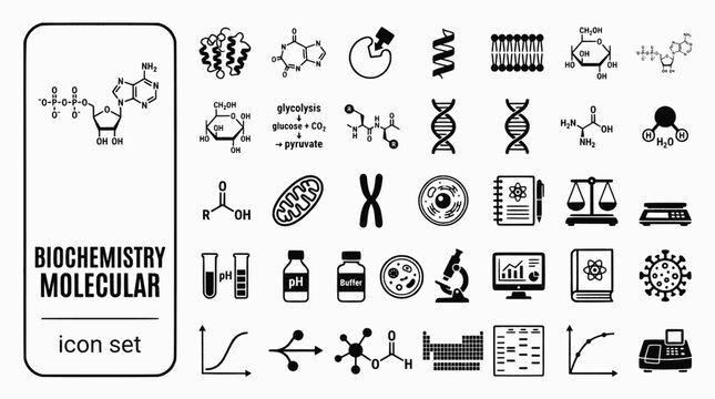 Biochemistry Molecular Biology Bold Line Icons-ATP Enzyme Metabolic Pathway Protein Folding Lipid Bilayer Citric Acid Glycolysis-25 Biochemistry Icon Set Vector - Molecular Icons