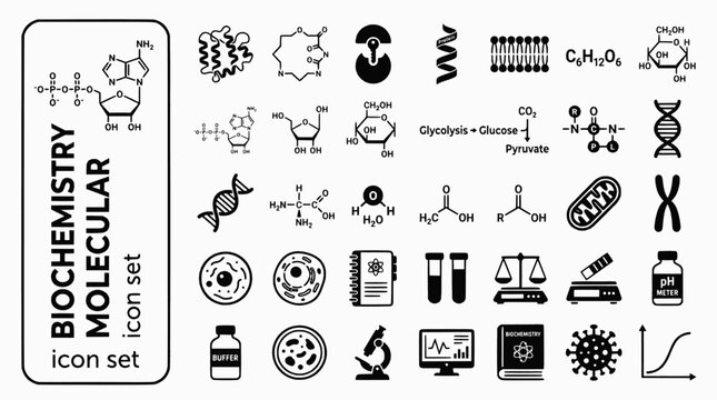 Biochemistry Molecular Biology Bold Line Icons-ATP Enzyme Metabolic Pathway Protein Folding Lipid Bilayer Citric Acid Glycolysis-25 Biochemistry Icon Set Vector - Molecular Icons
