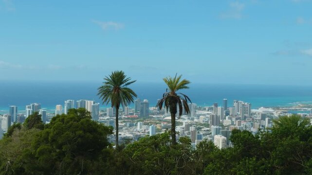 Tantalus Lookout - Puu Ualakaa State Park. City of Honolulu, Ohau, Hawaii.  Pacific Ocean. Phoenix dactylifera, commonly known as the date palm