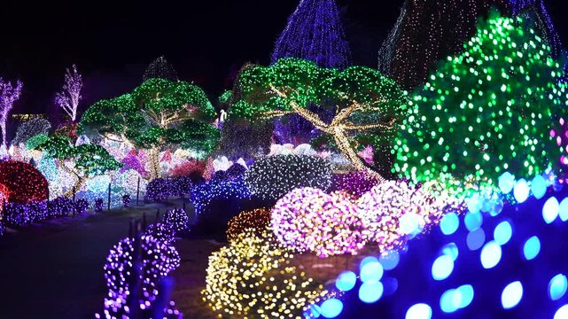 아침고요수목원 오색별빛정원전의 환상적인 보케와 화려한 조명 나무 야경 (Fantastic night view with colorful LED tree illuminations and dreamy bokeh at the Morning Calm Garden)