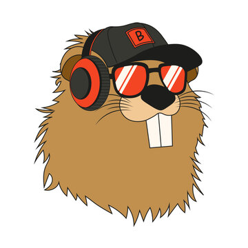 Stylish poland Beaver head in headphones cap and sunglasses isolated transparent background. Fun vector Beaver design. Perfect t-shirt hoodies decor print. Editable stroke. EPS 10