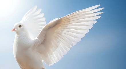 Fototapeta premium A white dove in flight against a clear blue sky symbolizing peace hope and freedom with its wings spread wide