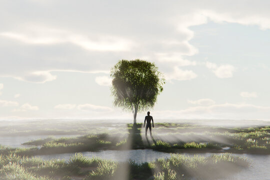 3D silhouette tree horizon with misty field and sunbeam