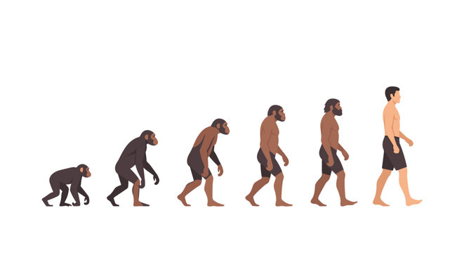 A detailed color illustration depicts the evolutionary stages of man starting from a small primate and progressing through various hominid forms to a modern human.