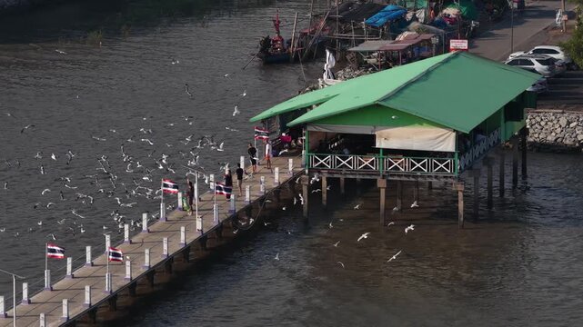 Tourists feeding a large flock of seagulls at bang pu pier in thailand