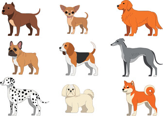 Obraz premium Dog Breeds Illustration Set Featuring Various Domestic Canine Characters in Standing Pose for Pet Care, Animal Design, Veterinary, and Educational Projects