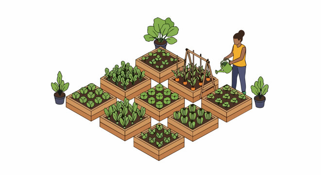 Isometric Vector Illustration of a Woman Watering Organic Vegetables in a Raised Bed Home Garden, Sustainable Urban Farming Concept
