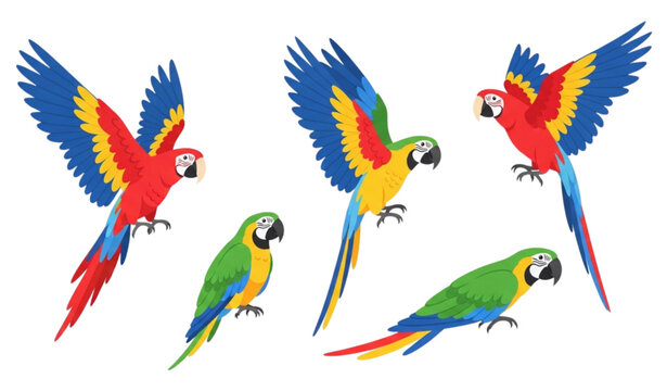 Colorful parrots vector set with flying and perched tropical birds illustration