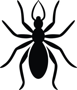 Solifugae silhouette vector art Illustration