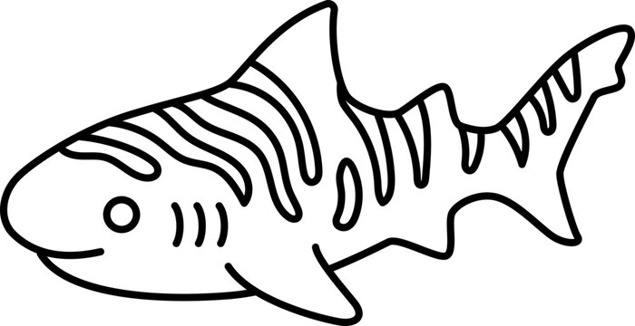 Zebra shark shark fish ocean marine sea wildlife underwater minimal line