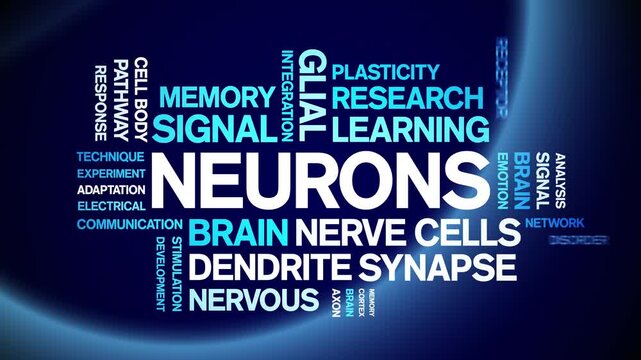Neurons animated word cloud-text design animation tag kinetic typography seamless loop.