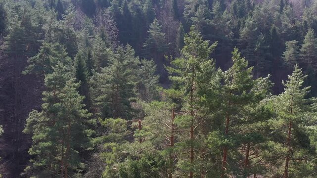 Rytro zamek, Małopolska, Beskid Sądecki