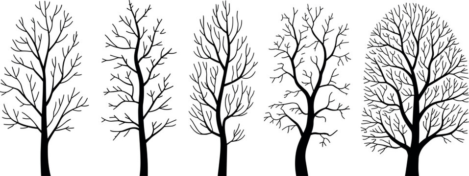 Bare tree silhouettes, winter forest illustration, leafless trees collection, nature vector set, botanical design, seasonal trees, minimalist black branches artwork