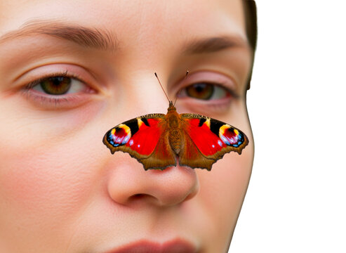 Schmetterling