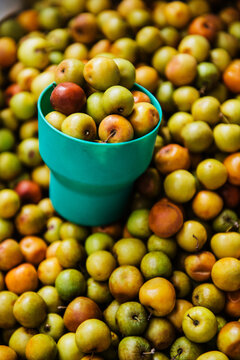 Jujube fruit, also known as Ber, Chinese date, or Indian plum for sale at the farmers market 