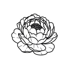Obraz premium Black and White Lotus Flower Line Art Illustration