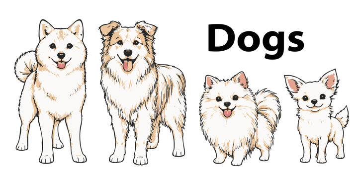 Cute dog characters set, line art illustration for coloring page (Shiba Inu, Border Collie, Pomeranian, Chihuahua) / 犬のキャラクターセット 線画 イラスト 塗り絵用（柴犬、ボーダーコリー、ポメラニアン、チワワ・カラー）