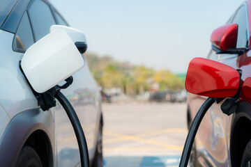 Electric car or ev is charging at station . man use the white power cable and plug on nature background. eco and clean energy concept with the mobile phone smart technology. zero gas no transmission © 2B