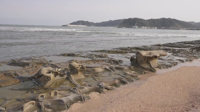 Hidden Tropical Paradise in Japan &ndash; Aoshima Island Miyazaki