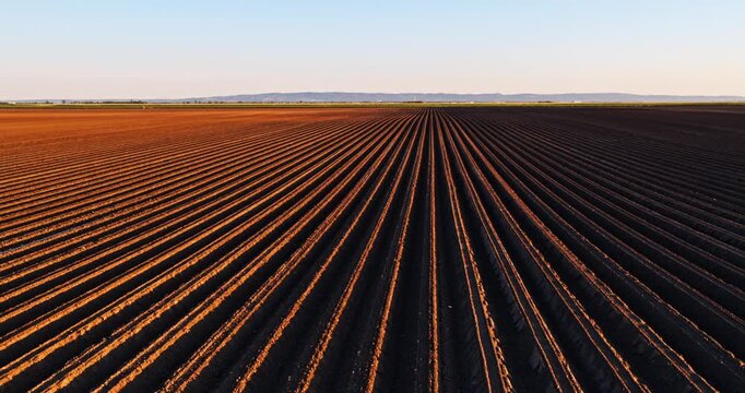 Drone flying low over plowed field furrows at sunset