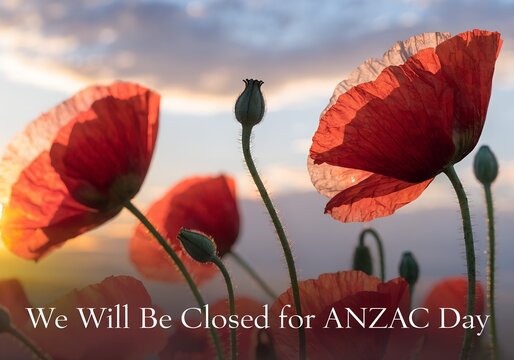 ANZAC Day Closed Sign with Red Poppy Flower, Business Closure Announcement April 25, Lest We Forget Poppy Design, We Will Be Closed for ANZAC Day April 25, Corporate ANZAC Day Holiday Notice.