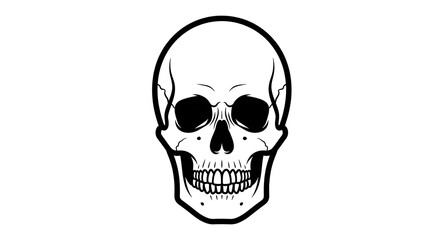 Fototapeta premium Line art illustration of a human skull, front view, with details on a white background