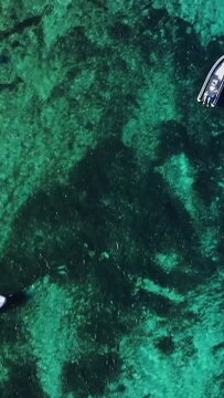 Drone shot of boats docked at the marina with clear turquoise water and lush green surroundings at Plage du Petit Sperone, Corsica.