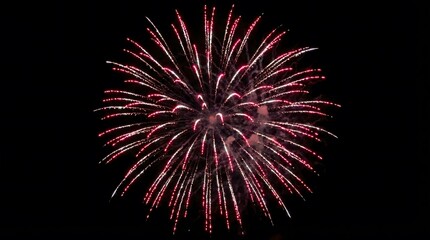 Obraz premium Spectacular burst of vibrant red and white fireworks illuminating the dark night sky, creating a breathtaking display of light and celebration for festive occasions and special events