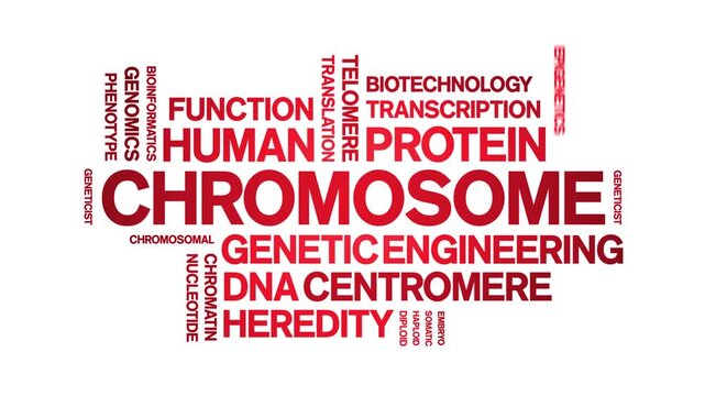 Chromosome animated word cloud-text design animation tag kinetic typography seamless loop.