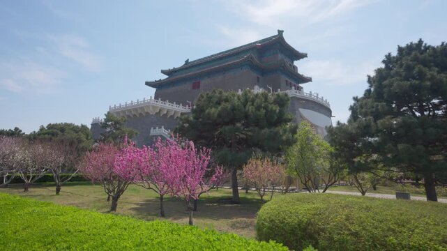 Spring Blossoms in Bloom at the Ancient Zhengyangmen Arrow Tower, Beijing Central Axis