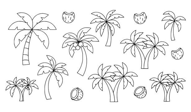 A minimalist line art illustration of palm trees and coconuts in a simple design