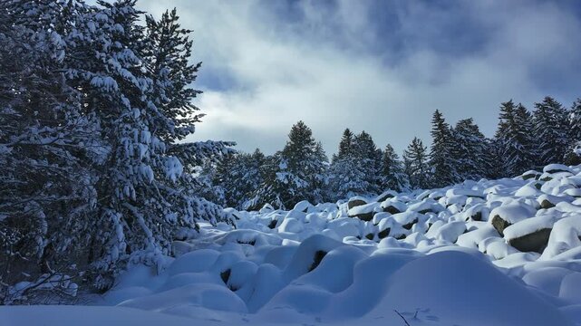 Amazing Winter landscape of Vitosha Mountain, Sofia City Region, Bulgaria