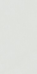 Fototapeta premium Plain light gray background