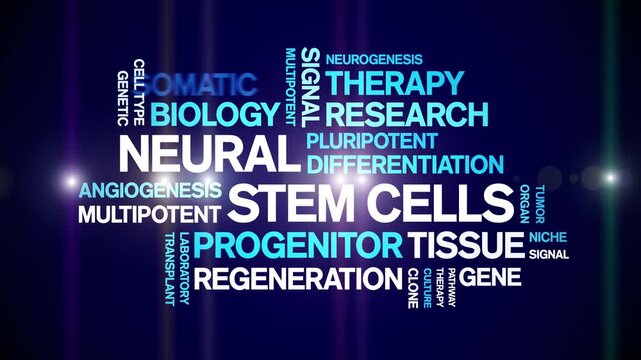 Neural Stem Cells animated word cloud-text design animation tag kinetic typography seamless loop.